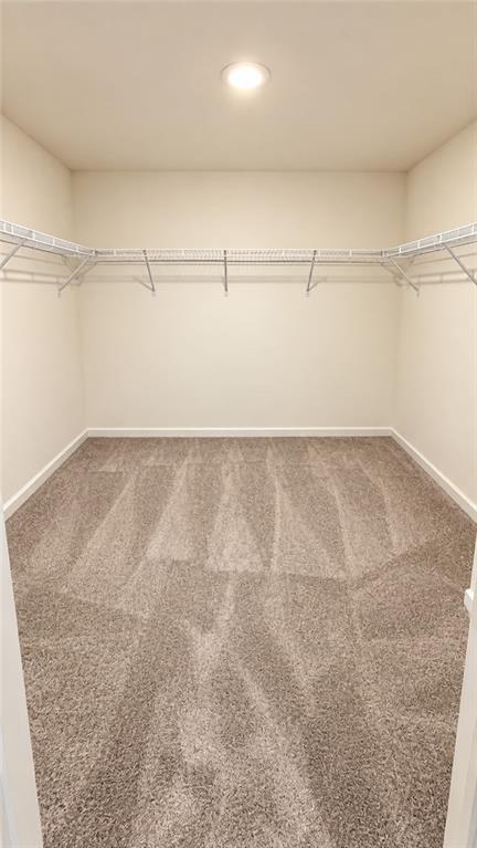 2498 Argento Circle Property Photo 25
