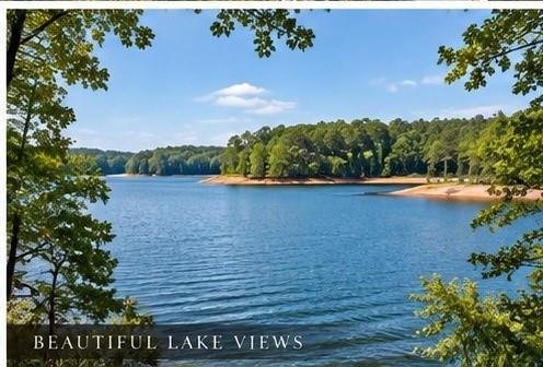 205 Long Cove Drive Property Photo 39