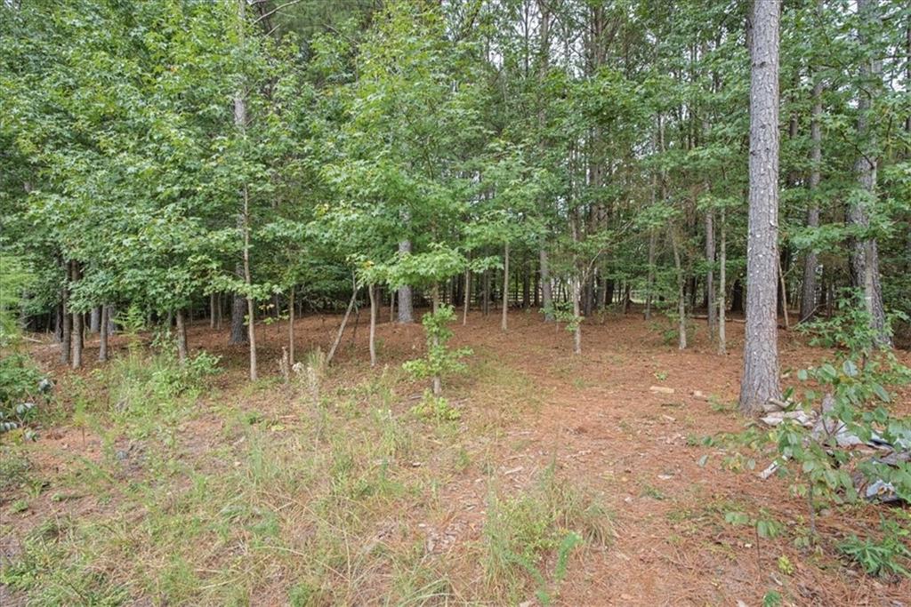 32 Meadow View Glen Property Photo 45