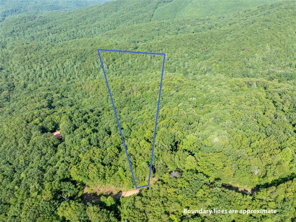 Lot 9 Brushy Top Drive Property Photo 1