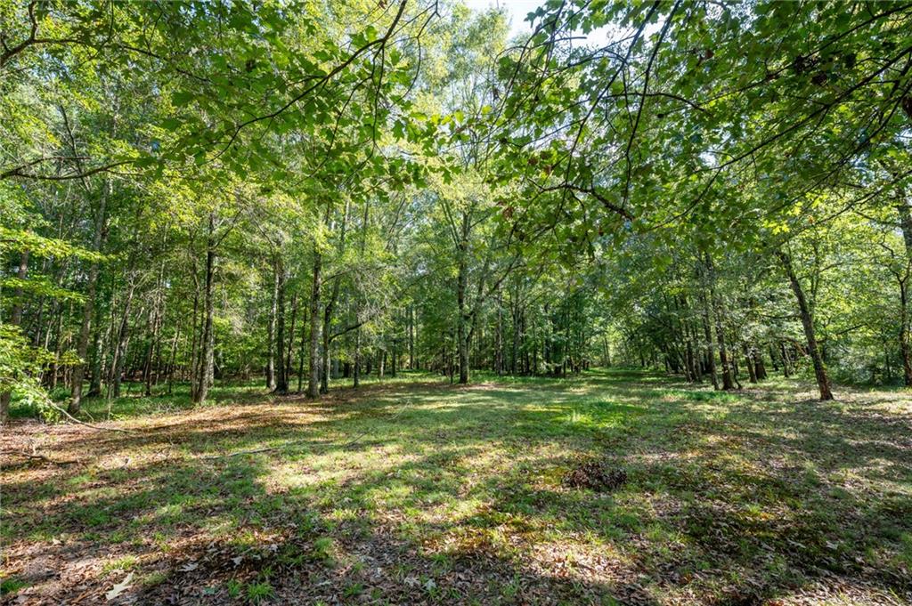 1215 Cullpepper Road Ne Property Photo 50