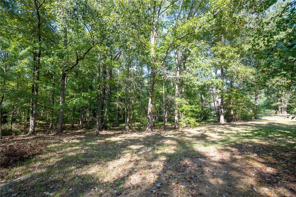 1215 Cullpepper Road Ne Property Photo 56