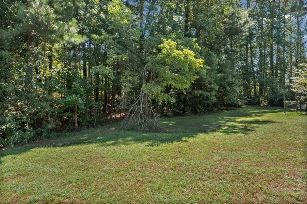 408 Castle Rock Property Photo 49