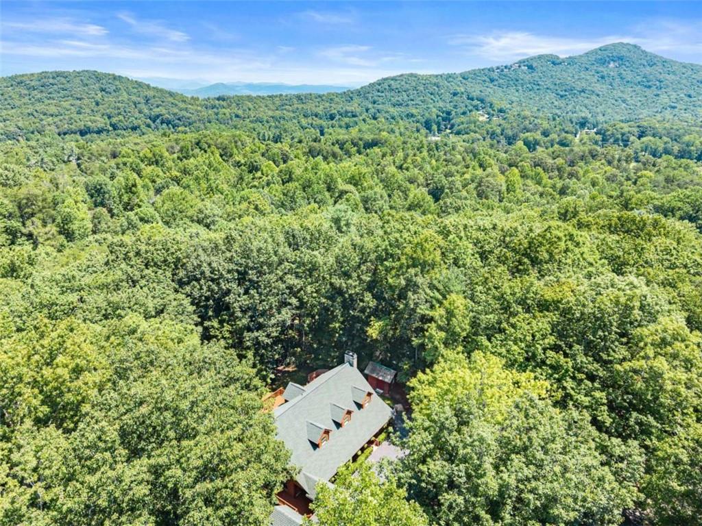 257 Interlochen Court Property Photo 49
