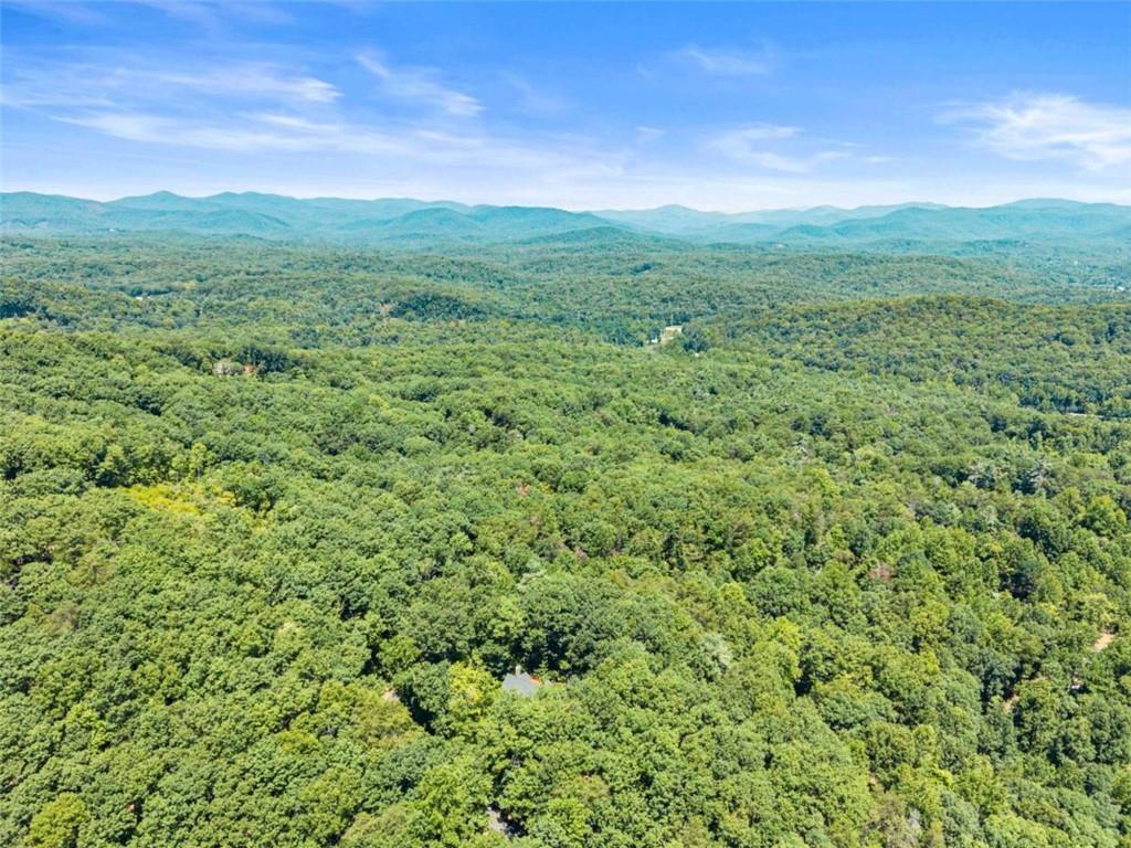 257 Interlochen Court Property Photo 75