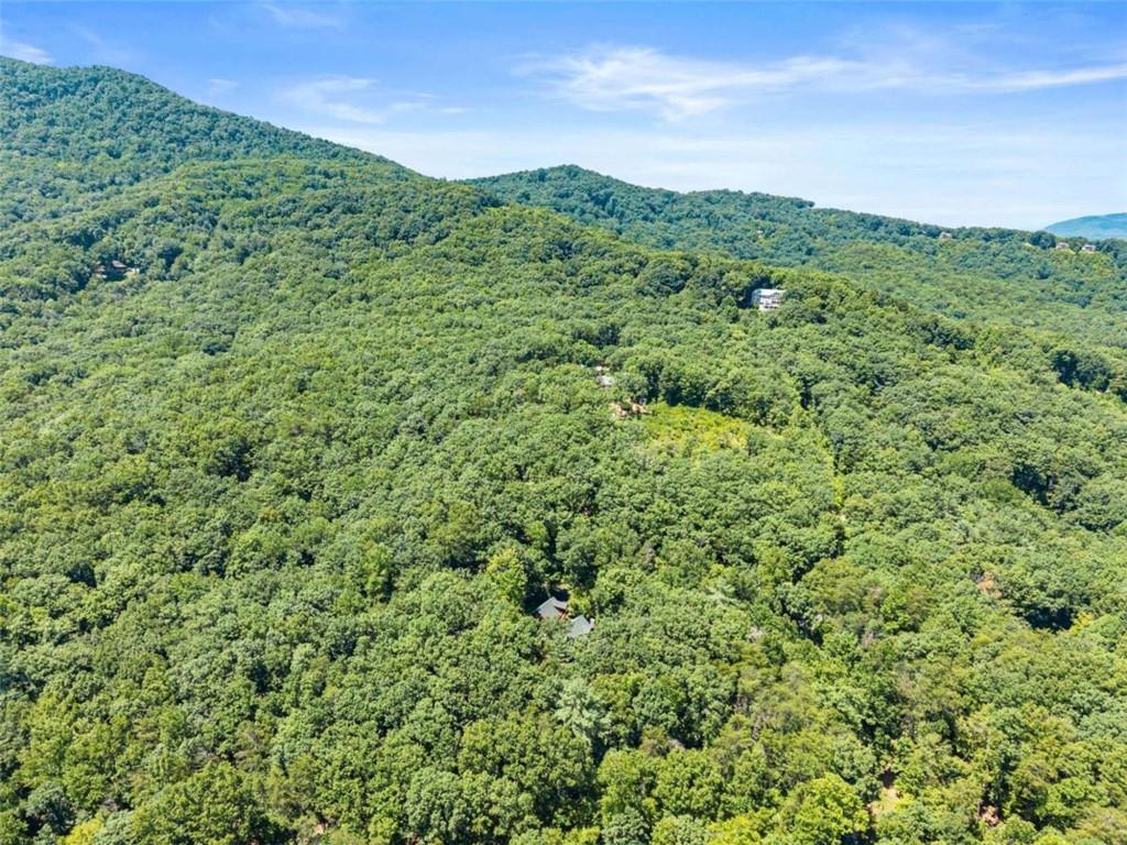 257 Interlochen Court Property Photo 76