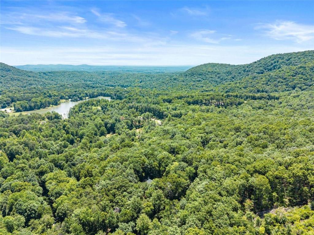 257 Interlochen Court Property Photo 78