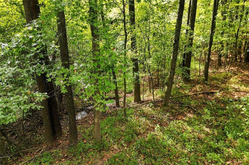 115 Redleaf Court Property Photo 45