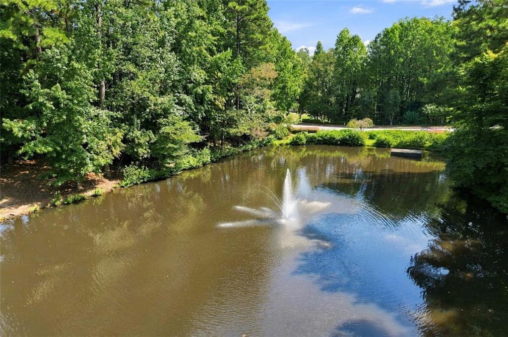 115 Redleaf Court Property Photo 46