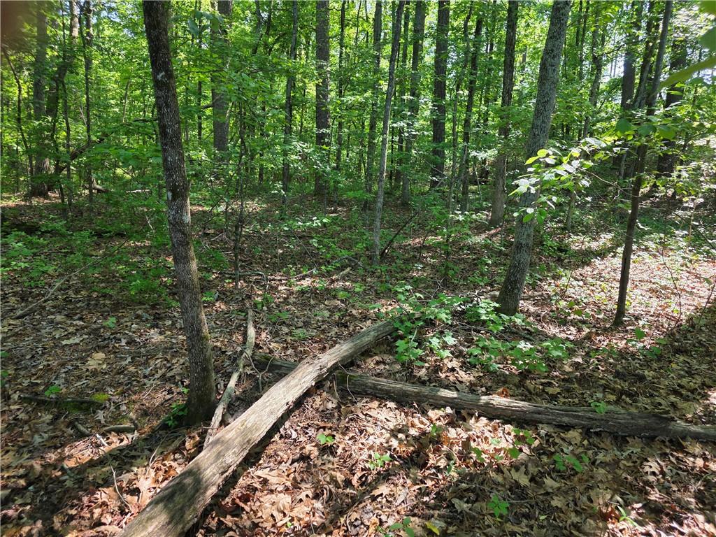 115 Cornish Trace Drive Property Photo 3