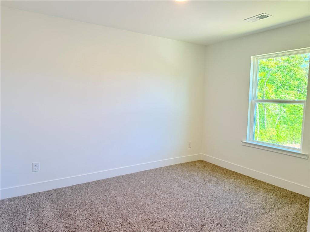 242 Thunder Valley Property Photo 38