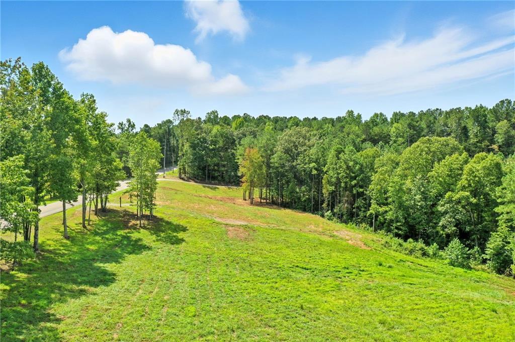 3511 Reavis Mountain #2 Road Property Photo 1