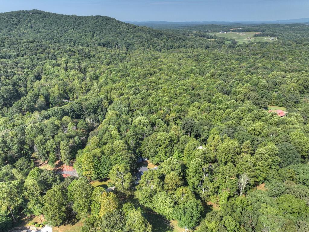 46 White Oak Drive Property Photo 11