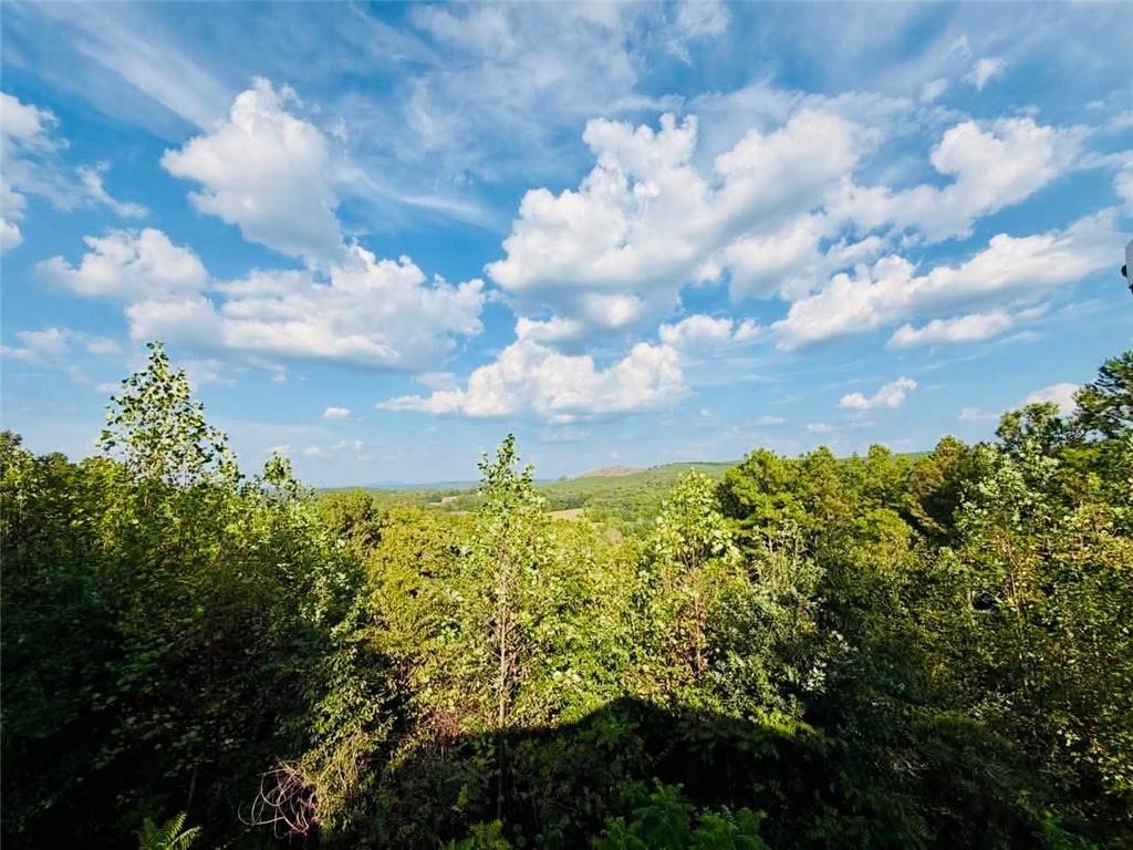 540 County Road 368 Property Photo 5