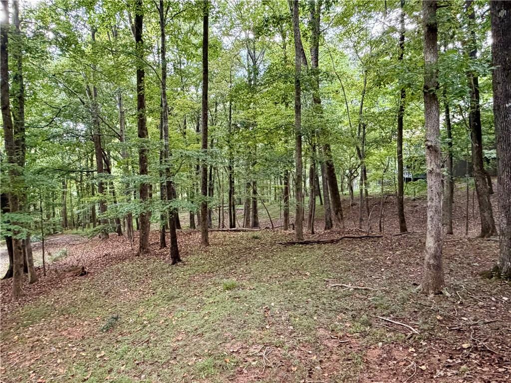 78 Cherokee Camp Trail Property Photo 53