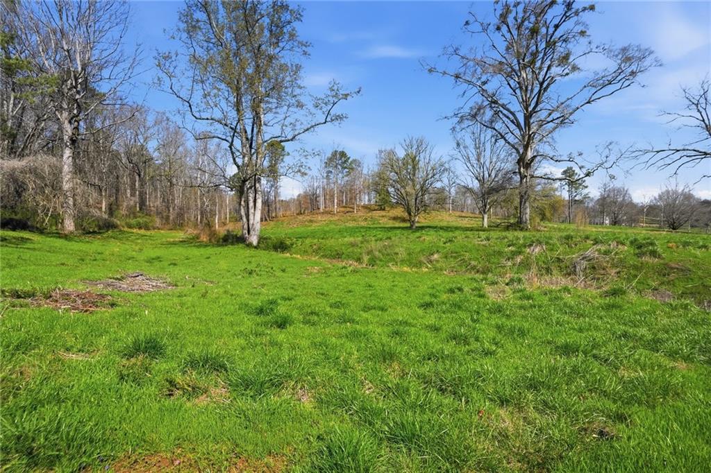 2201 Long Road Property Photo 3
