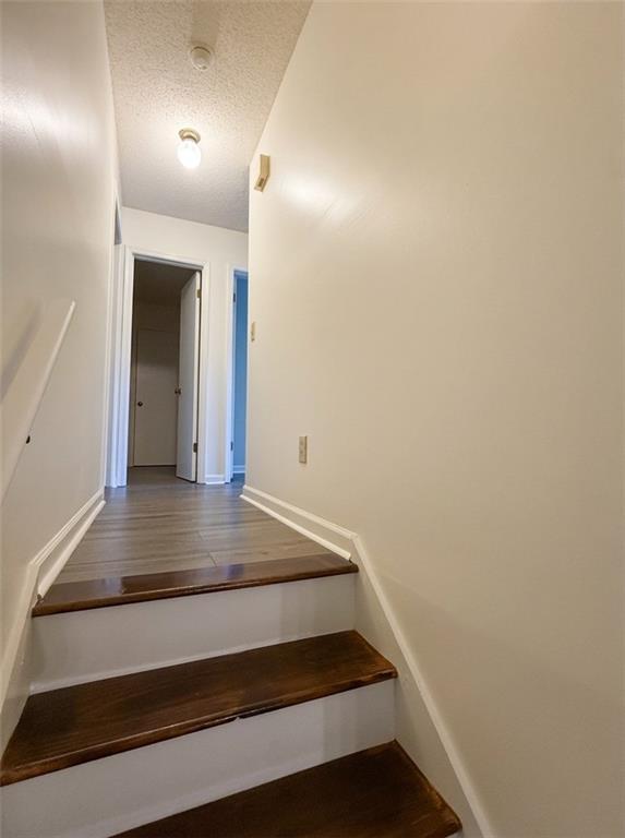 33 Chief Circle Property Photo 19