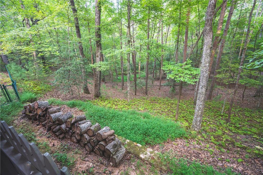149 River Ridge Road Property Photo 61