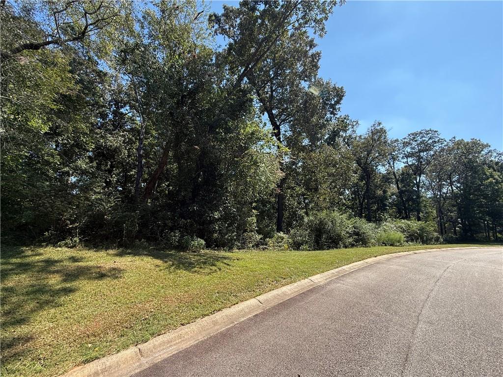 0 Mountain Vista Property Photo 2