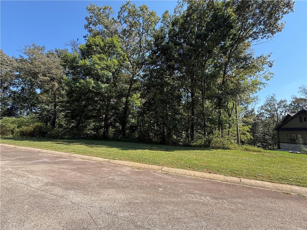 0 Mountain Vista Property Photo 7
