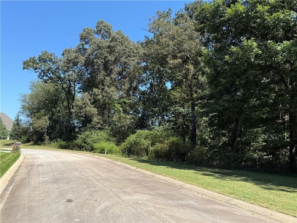 0 Mountain Vista Property Photo 8