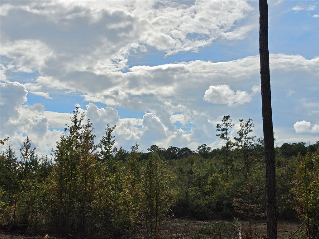 0 Tract 8 Victory Road Property Photo 1