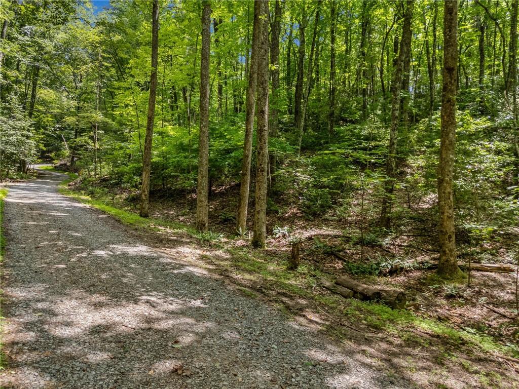 0 Jagger Run Property Photo 2