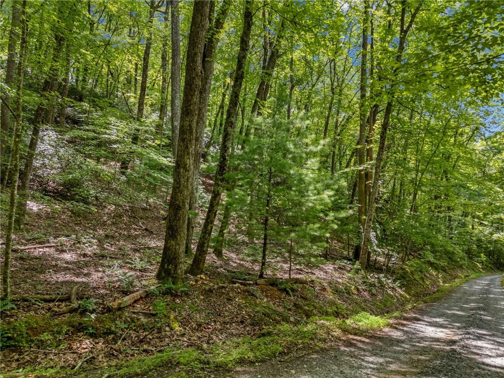 0 Jagger Run Property Photo 3