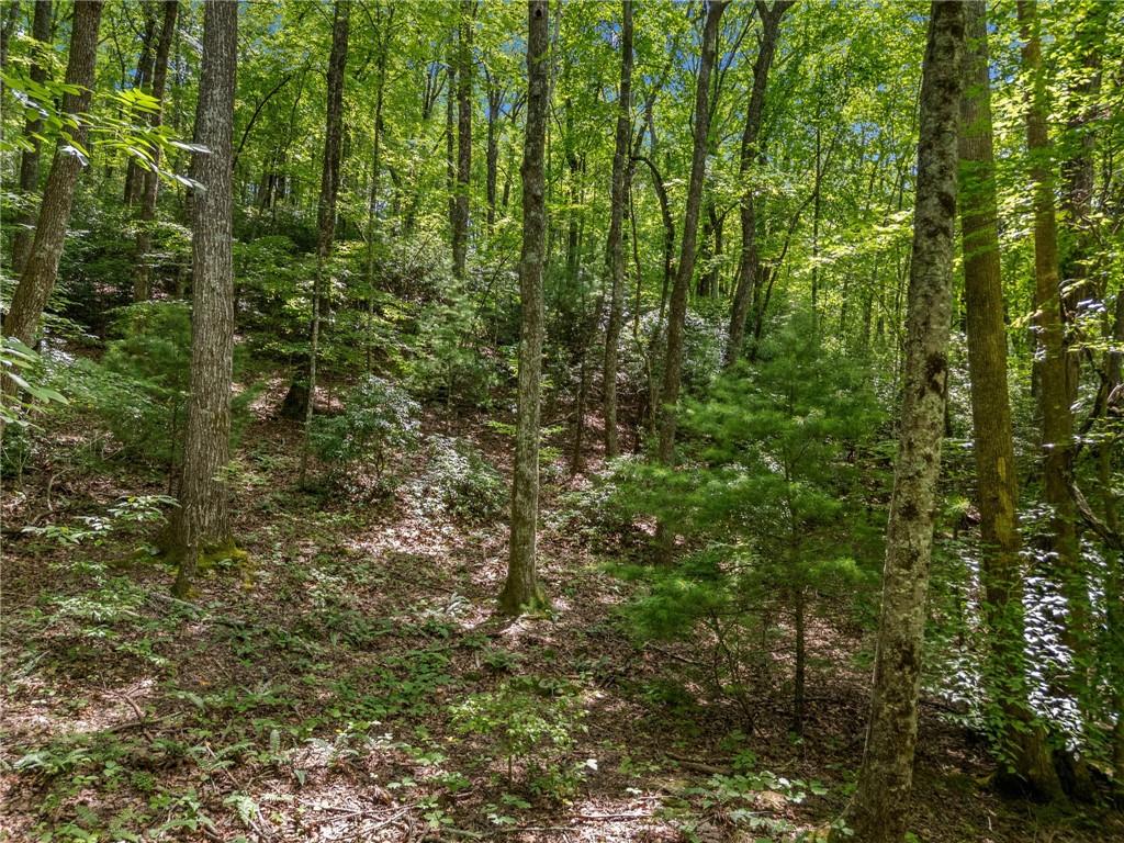 0 Jagger Run Property Photo 4