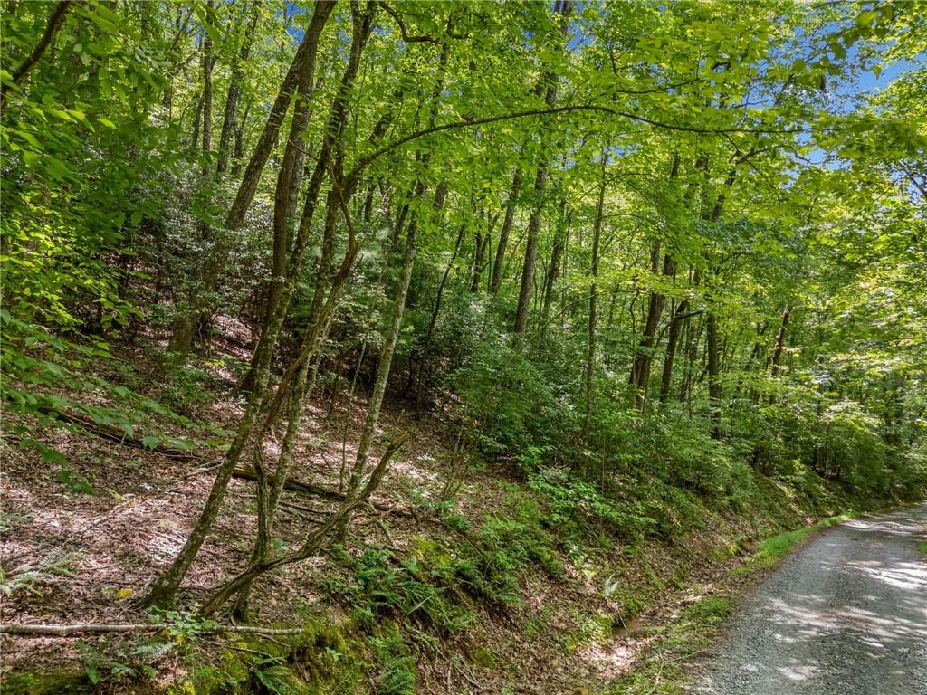 0 Jagger Run Property Photo 5