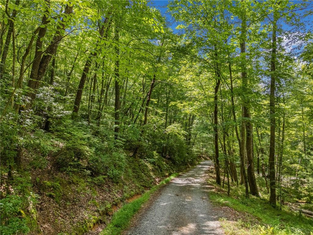 0 Jagger Run Property Photo 6