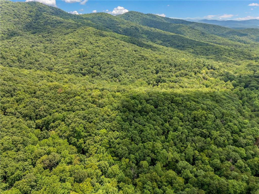 0 Jagger Run Property Photo 8