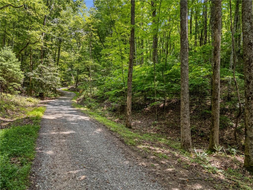 0 Jagger Run Property Photo 11
