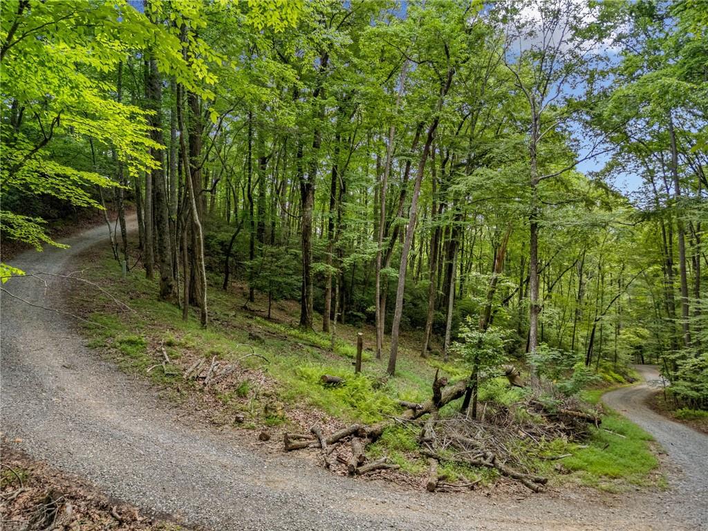 0 Jagger Run Property Photo 12