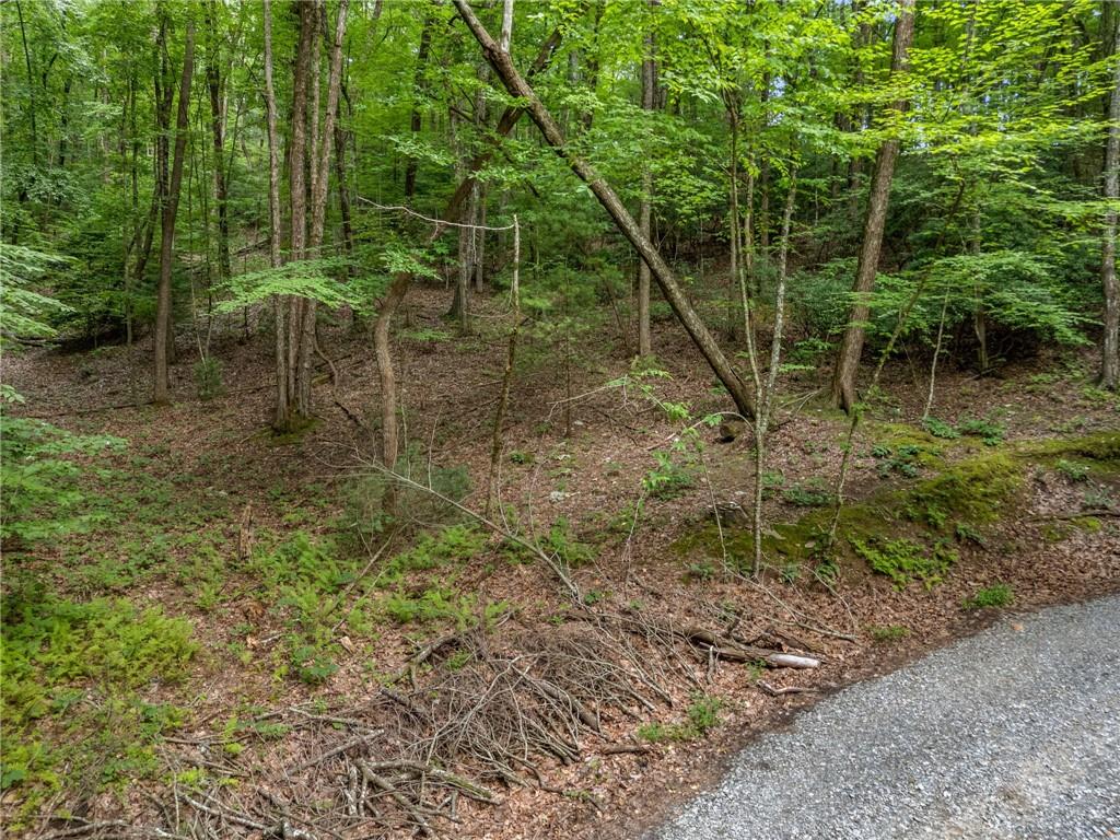 0 Jagger Run Property Photo 13
