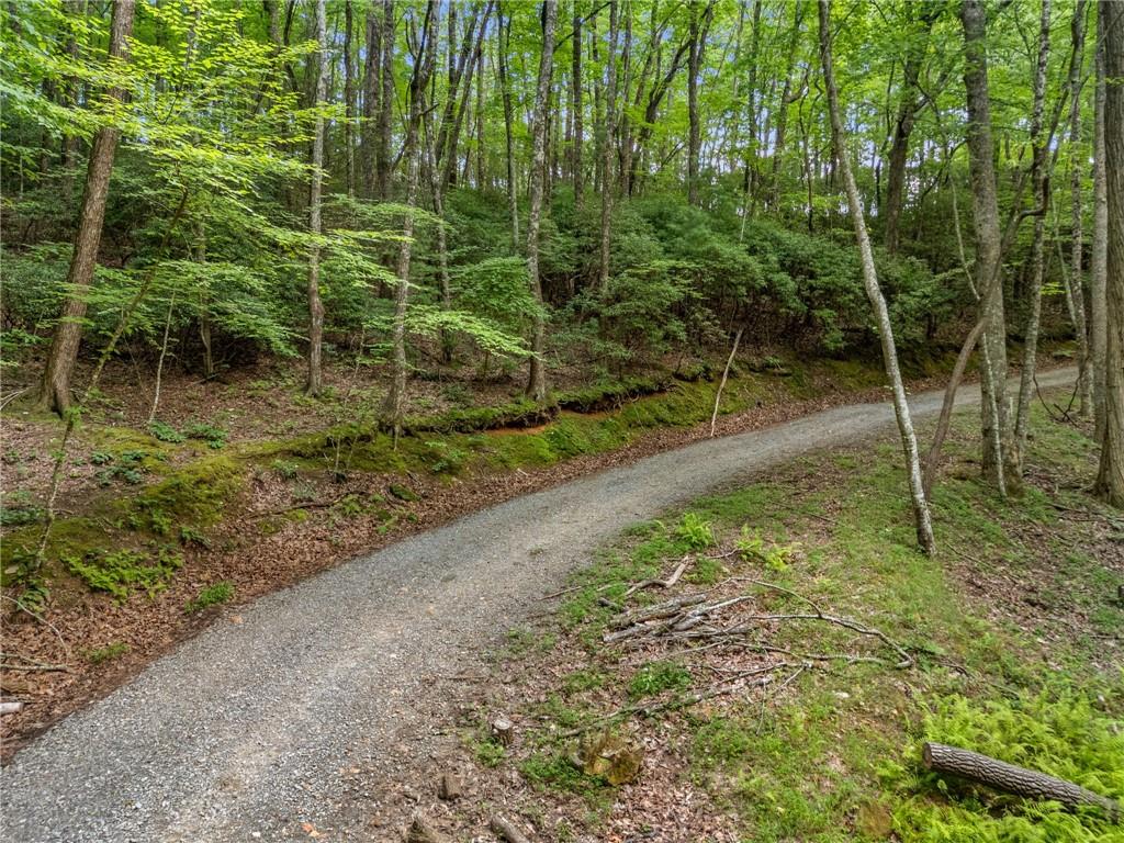 0 Jagger Run Property Photo 14
