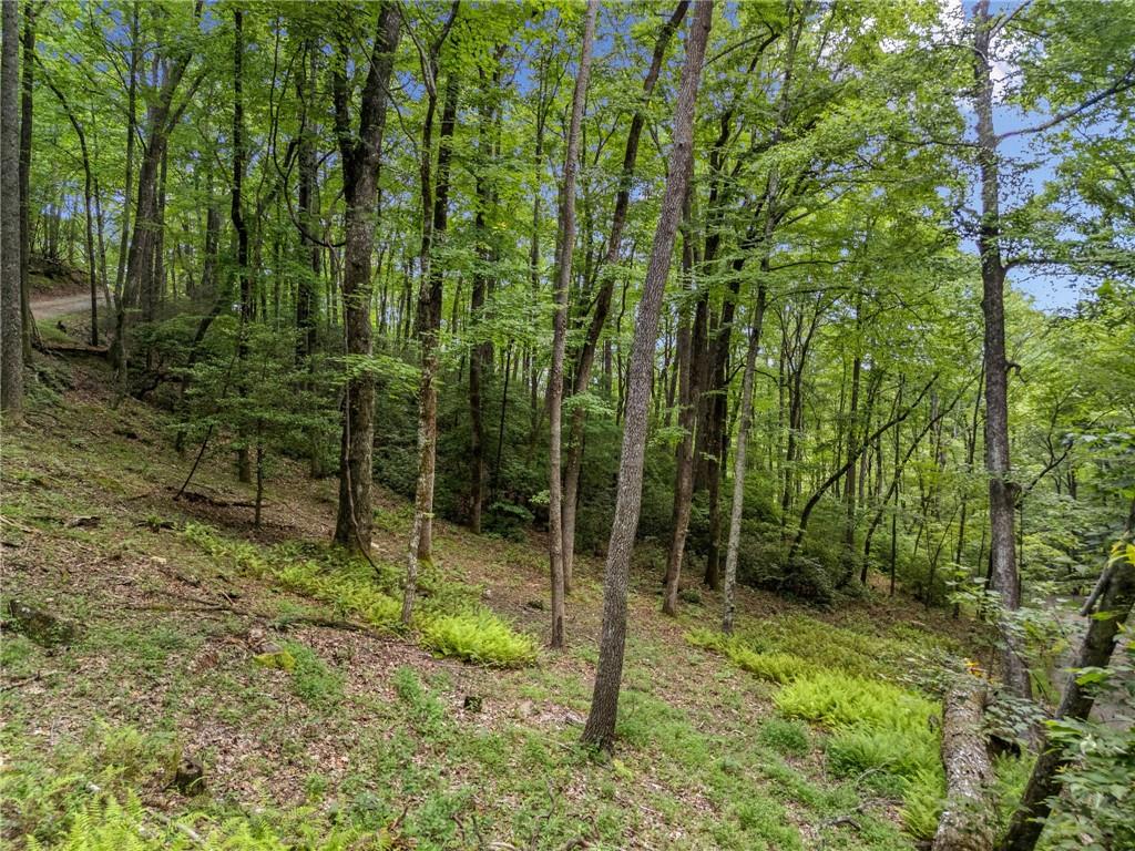 0 Jagger Run Property Photo 15