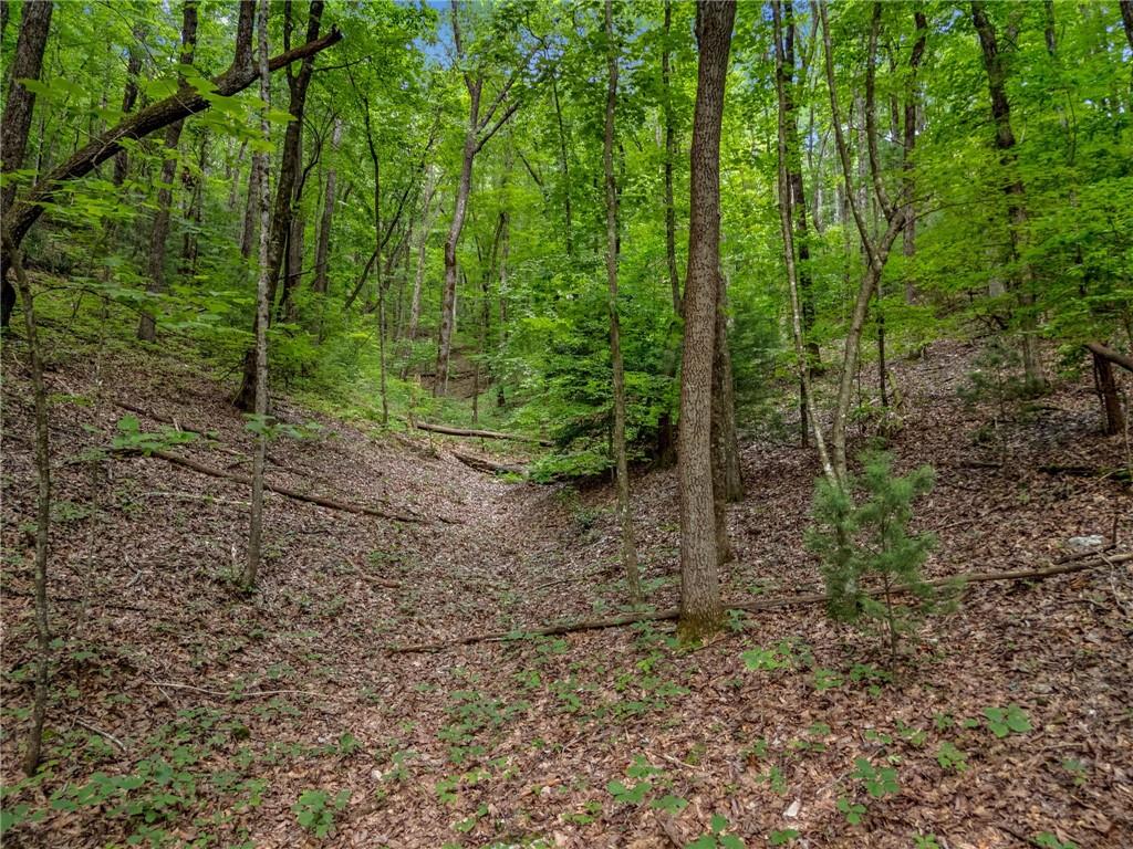 0 Jagger Run Property Photo 16