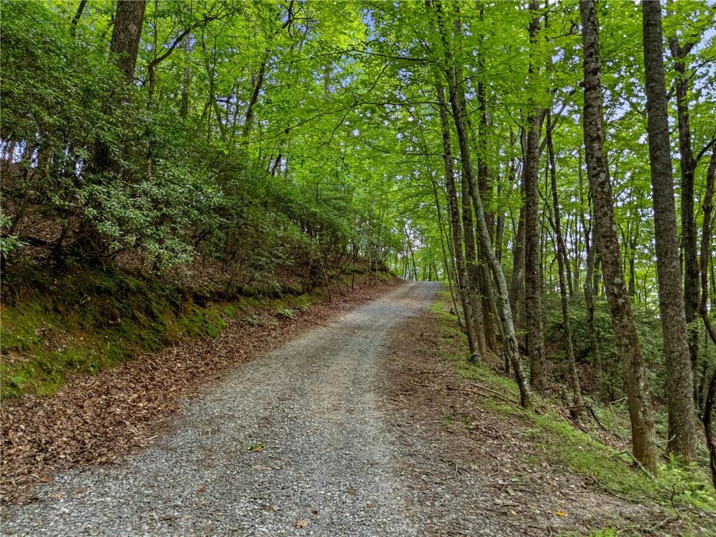 0 Jagger Run Property Photo 17