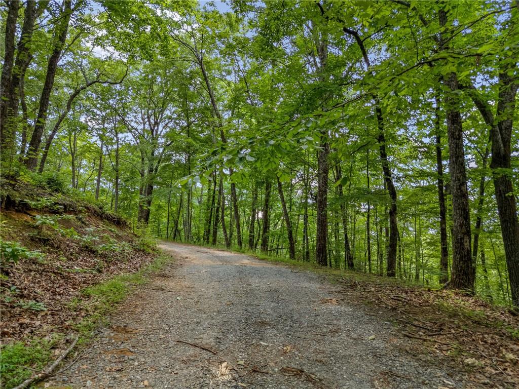 0 Jagger Run Property Photo 18