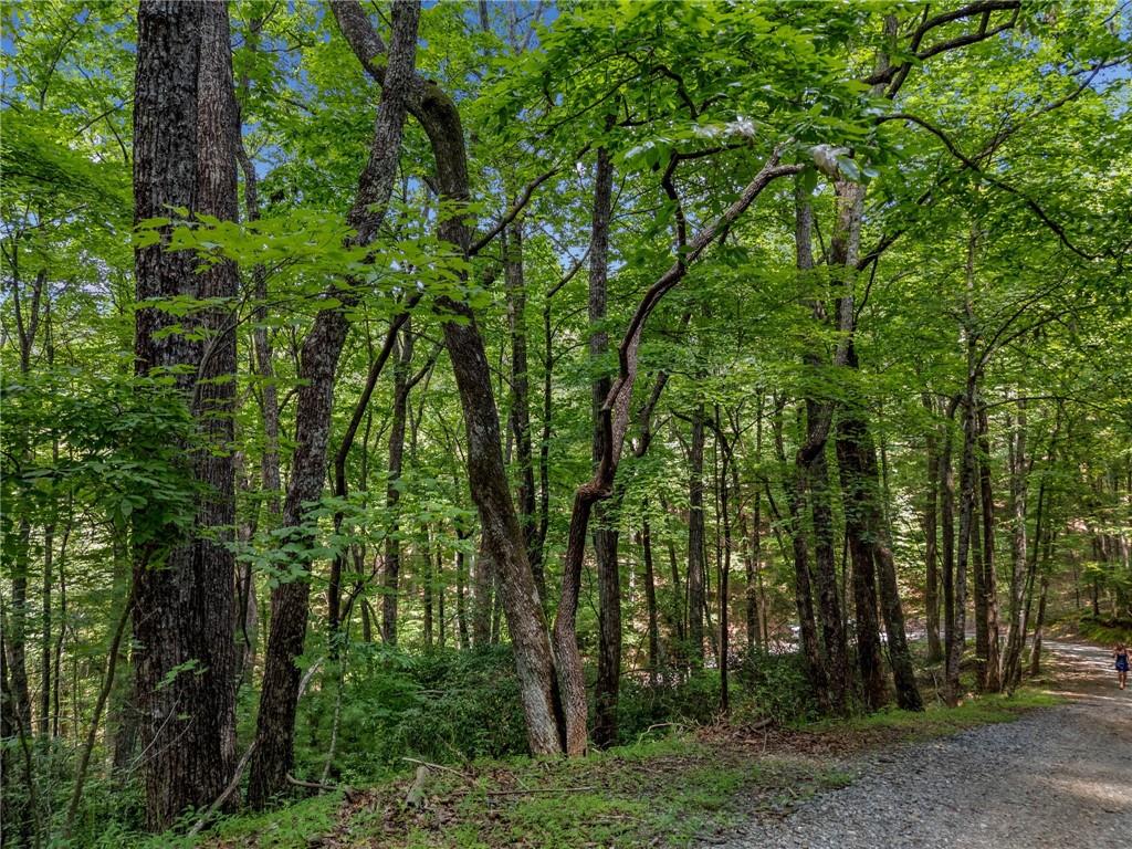 0 Jagger Run Property Photo 19