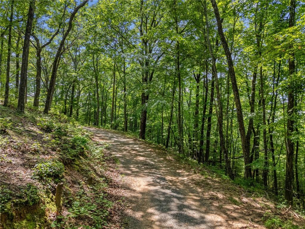0 Jagger Run Property Photo 20