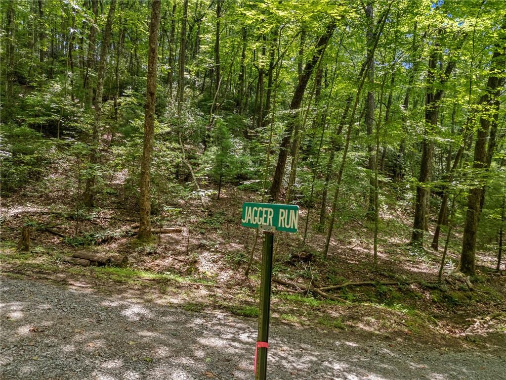 0 Jagger Run Property Photo 22