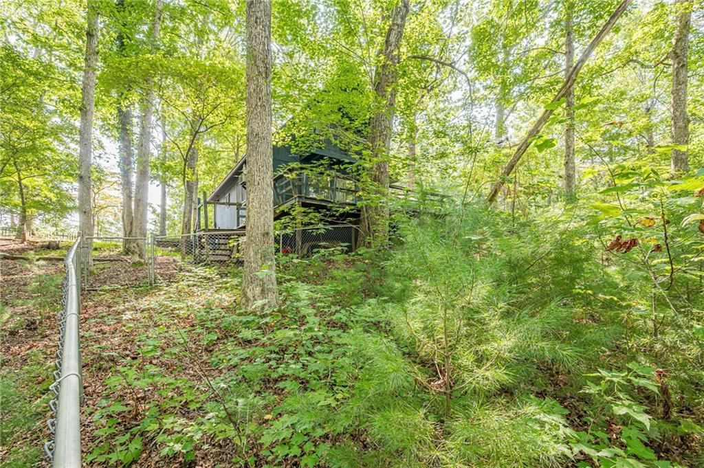 8624 Old Dial Rd Property Photo 37