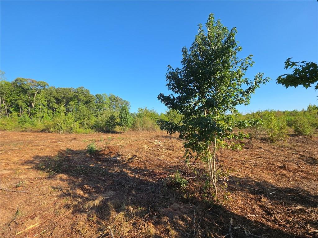 0 Tract 5 Butler Road Property Photo 1