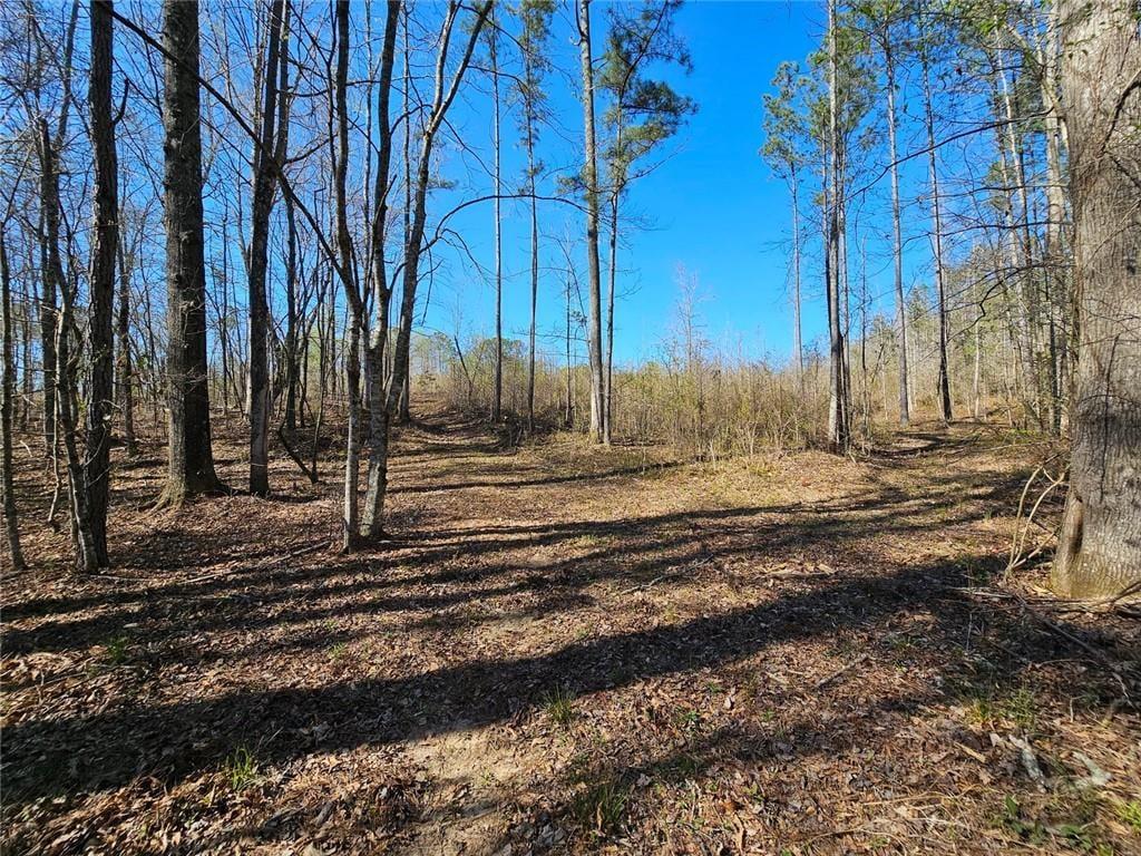 0 Tract 3 Butler Road Property Photo 1
