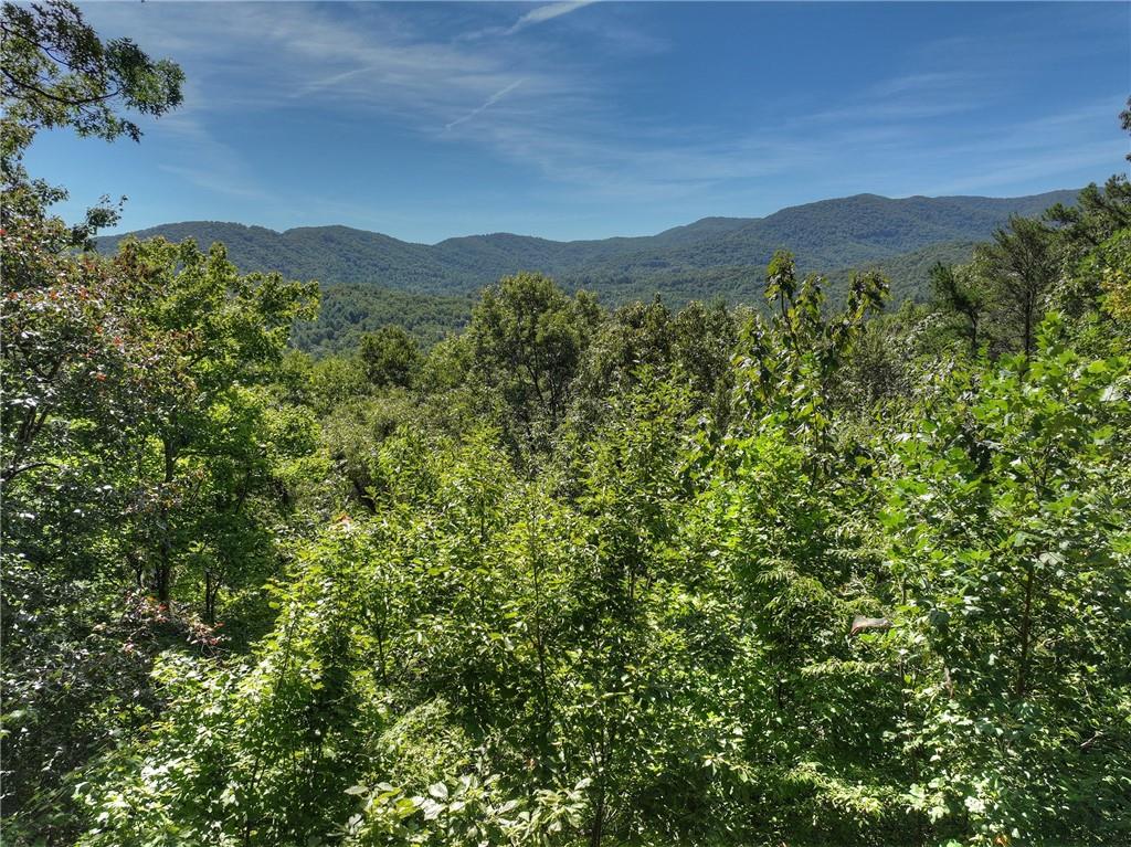 300 Cloudland Trace Property Photo 3