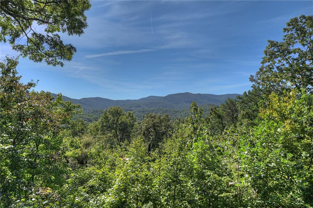 300 Cloudland Trace Property Photo 28