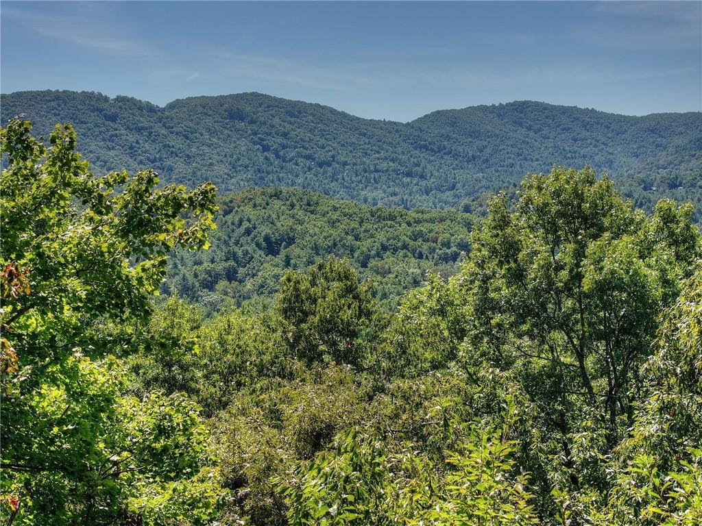 300 Cloudland Trace Property Photo 51
