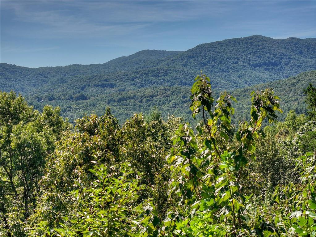 300 Cloudland Trace Property Photo 52